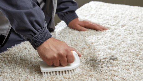Professional Rug Cleaning Camberwell